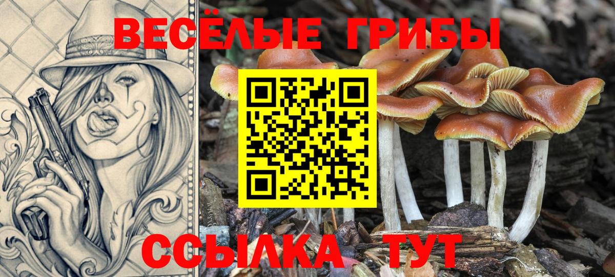 Верхний Уфалей  Галлюциногенные грибы MAGIC MUSHROOMS  Вход с VPN  Галлюциногенные грибы Magic Shrooms 